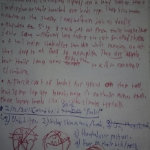 Canne'boid Study Part Two 1-24-2011