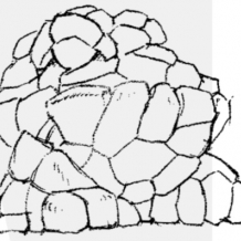 Cruka'byte Lil'grind