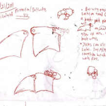 August 21st, 2011: Canne'bat Wing Study